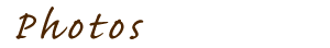 Photos